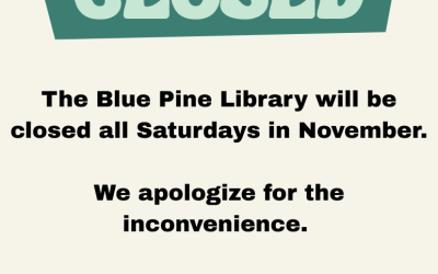 Library Closed – Accessibility Fail Example
